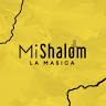 MINISTERIO INTERNACIONAL SHALOM