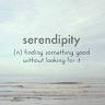 Serendipity Boutique LLC