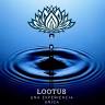 Tienda Lootus