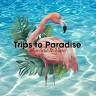 Trips to Paradise