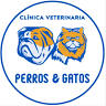 Veterinary Dogs and Cats