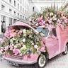 Wedding Shop 