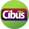 Cibus Açaí - Araci