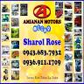 Amianan Motors Tubao LU