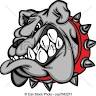 BULLDOGS SUPLEMENTS