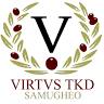 ASD VIRTVS TAEKWONDO