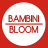Boutique Bambini Bloom - Alexandre Macedo - Unipessoal, Lda