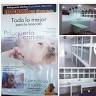 Bichos Pet Shop