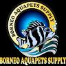 Borneo Aquapets Supply