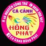 Cá Cảnh HỒNG PHÁT