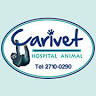 Carivet Hospital Animal