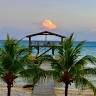 The Coconut House