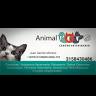centro veterinario animal pets