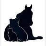 Companion Veterinary Services