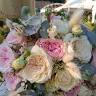 L'idea Dei Fiori