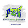 F2G Electrical System