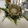 Florista Cana de açúcar