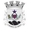 Junta De Freguesia Lagares Beira