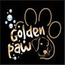 Golden Paw Strzyżenie Psów Psi Fryzjer Tczew Salon Pielęgnacji Natalia Spychalska