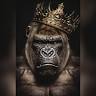 Gorilla gym