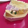 ရာဇာ သွား နှင့် ခံတွင်းဆေးခန်း Yar Zar Dental Clinic