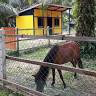 Jerami Park Farmstay