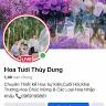 Hoa tươi Thuỳ Dung