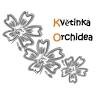 Květinka Orchidea