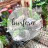 Biosfera - Kwiaciarnia