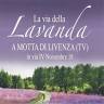 La via della Lavanda