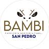 Adulto y Bebé