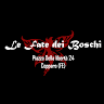 Le Fate dei Boschi