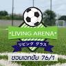 Living Arena Football Club
