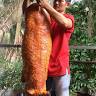 Hoang Ky Roasted pork bread