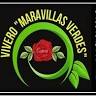 vivero Mavarillas Verdes