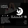 Mulabisgt