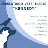 Ambulatorio Veterinario Kennedy Di Spanu Gianluca