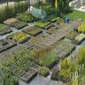 Erika Garden Center S.R.L.
