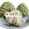 瑞源貞釋迦(採收期8月~隔年2月)