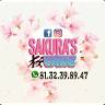 Sakura's Cake