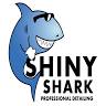 SHINY SHARK