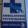 Ambulatorio Veterinario San Giorgio
