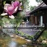 Villa Darakorn