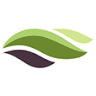 Fairfax Dental Group