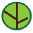 Family Tree Dental Care