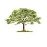 Family Tree Grounds Maintenance and Construction