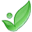 Green Pharmacy