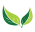 Floravita handling of Pharmacy and Drugstore