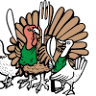 Farma Poustka