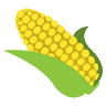 Farmer J's Corn Maze-World Record Corn Maze